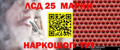 дмт Кандалакша