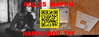 прущие грибы Камышлов