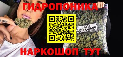 дмт Кандалакша