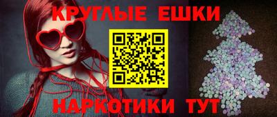прущие грибы Камышлов