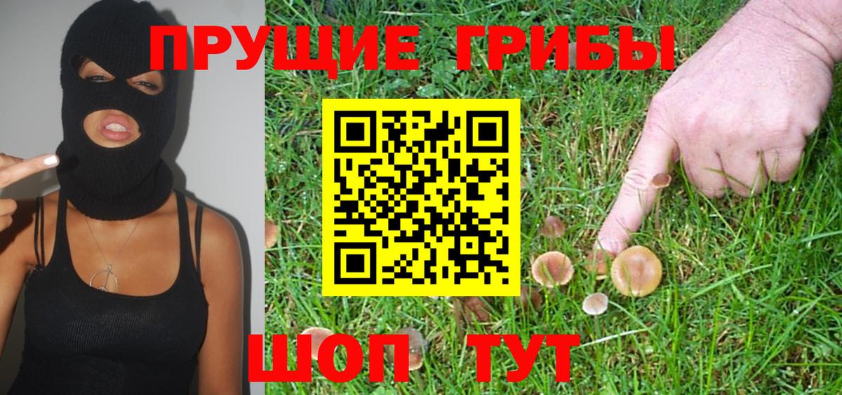Псилоцибиновые грибы MAGIC MUSHROOMS  Вход с VPN  Каменка 